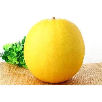 HSM23 Wanceng round dark yellow F1 hybrid sweet melon seeds
